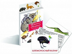 Дидактические карточки «Животные Австралии»