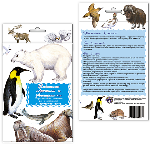 Дидактические карточки «Животные Арктики и Антарктики» купить в  интернет-магазине Маленький Гений