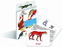 Дидактические карточки «Животные Южной Америки»